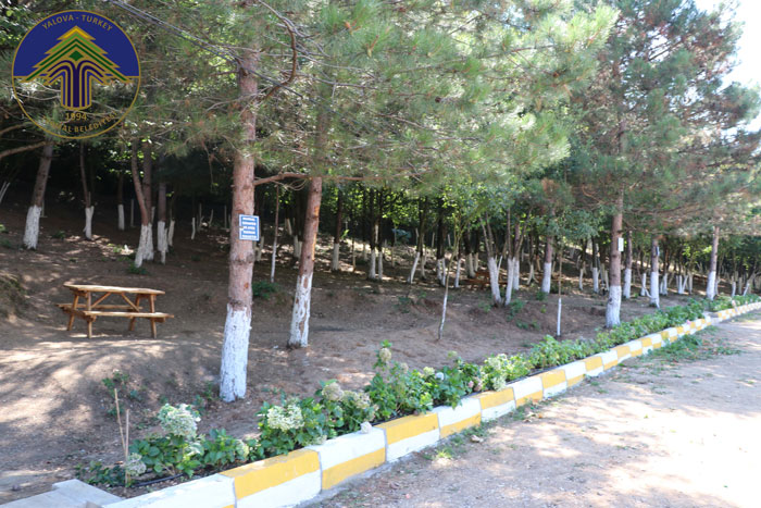 Gökçedere Piknik Alanı