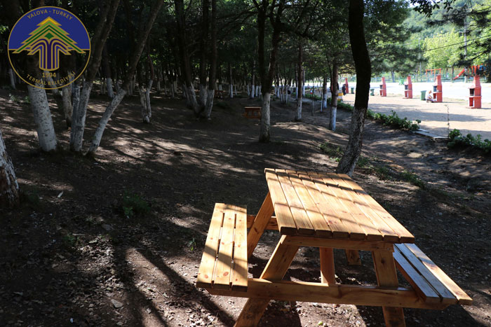 Gökçedere Piknik Alanı