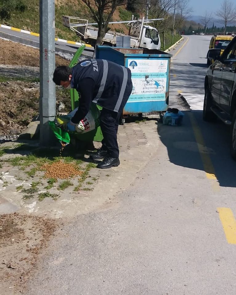 SOKAK HAYVANLARINA SAHİP ÇIKIYORUZ