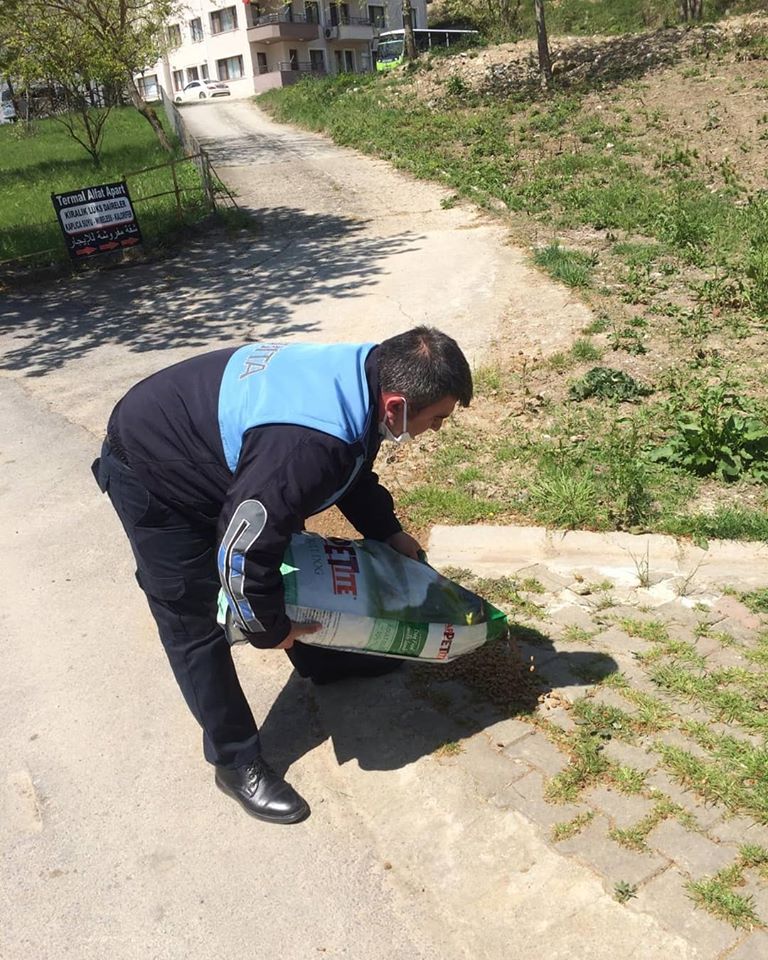 SOKAK HAYVANLARINA SAHİP ÇIKMAYA DEVAM EDİYORUZ