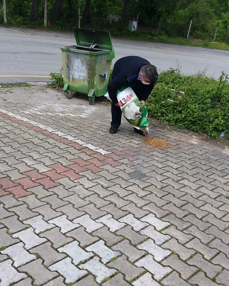 SOKAK HAYVANLARINA SAHİP ÇIKMAYA DEVAM EDİYORUZ