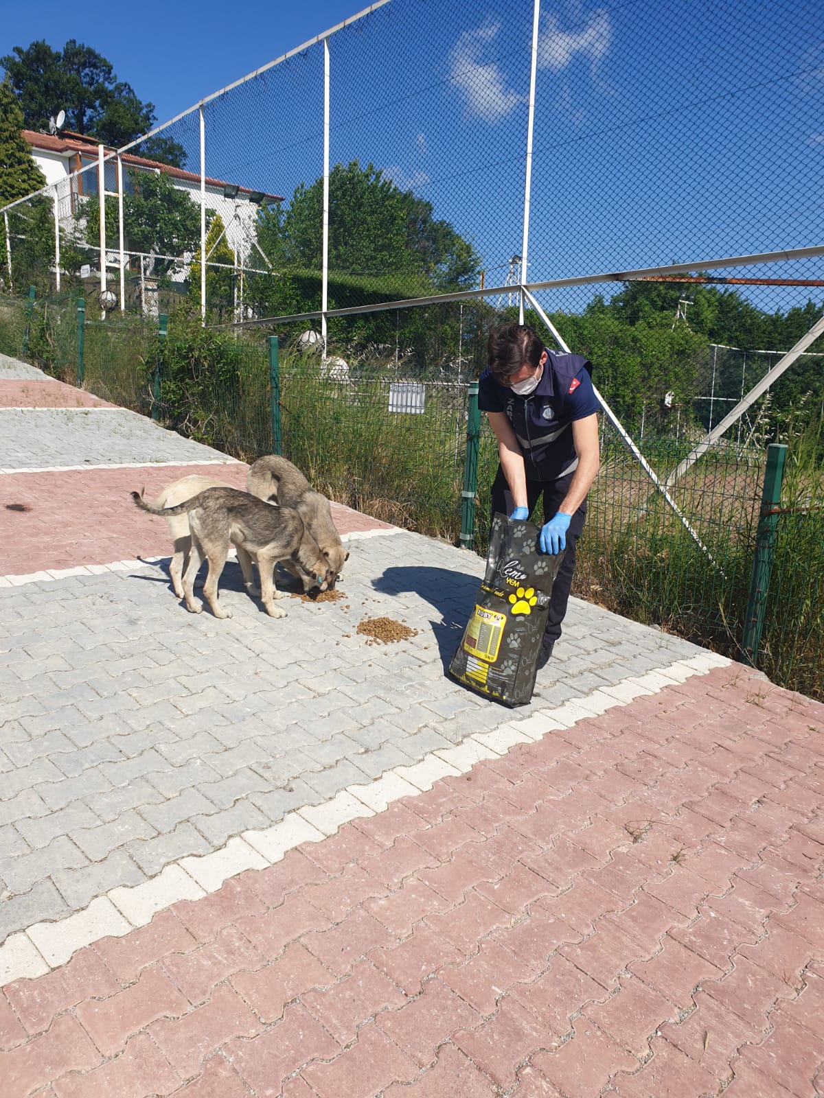 SOKAK HAYVANLARINA SAHİP ÇIKMAYA DEVAM EDİYORUZ