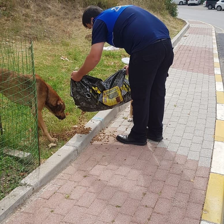 SOKAK HAYVANLARINA SAHİP ÇIKMAYA DEVAM EDİYORUZ