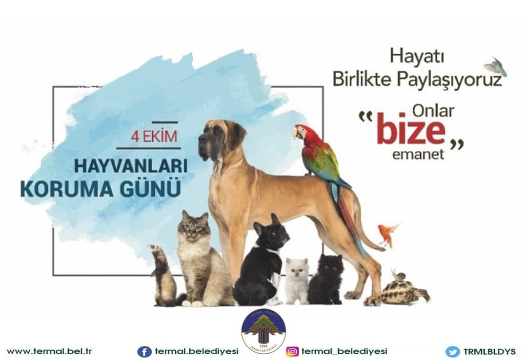 HAYVANLARI KORUMA GÜNÜ