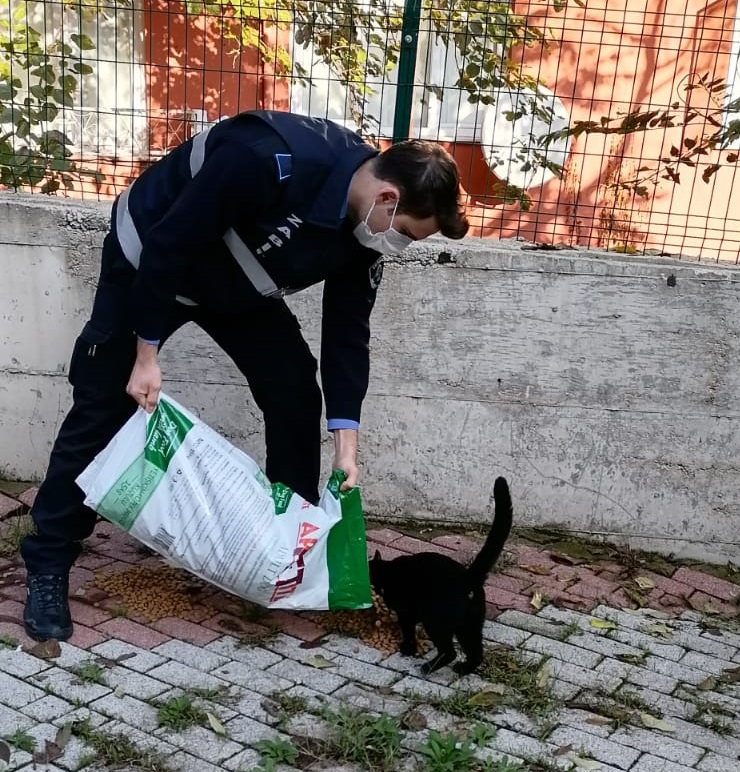 SOKAK HAYVANLARINA SAHİP ÇIKMAYA DEVAM EDİYORUZ