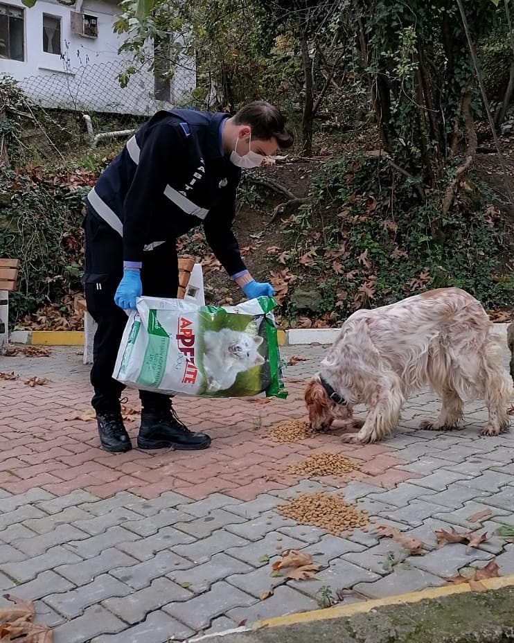 SOKAK HAYVANLARINA MAMA DAĞITIMI YAPILDI