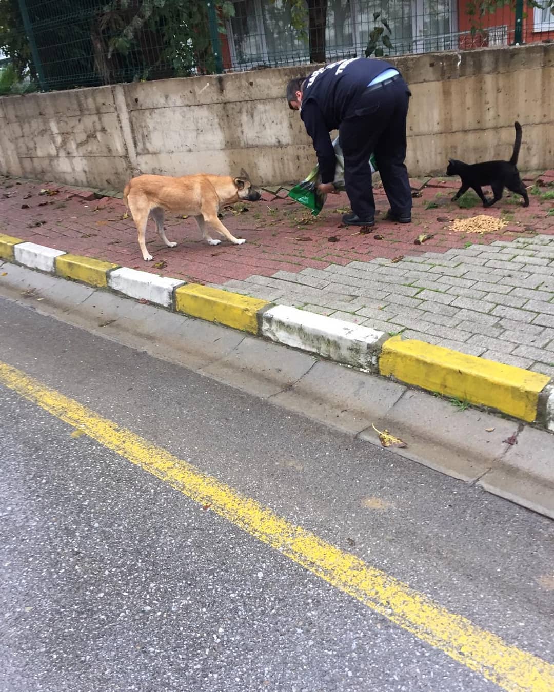 MAMA DAĞITIMI DEVAM EDİYOR