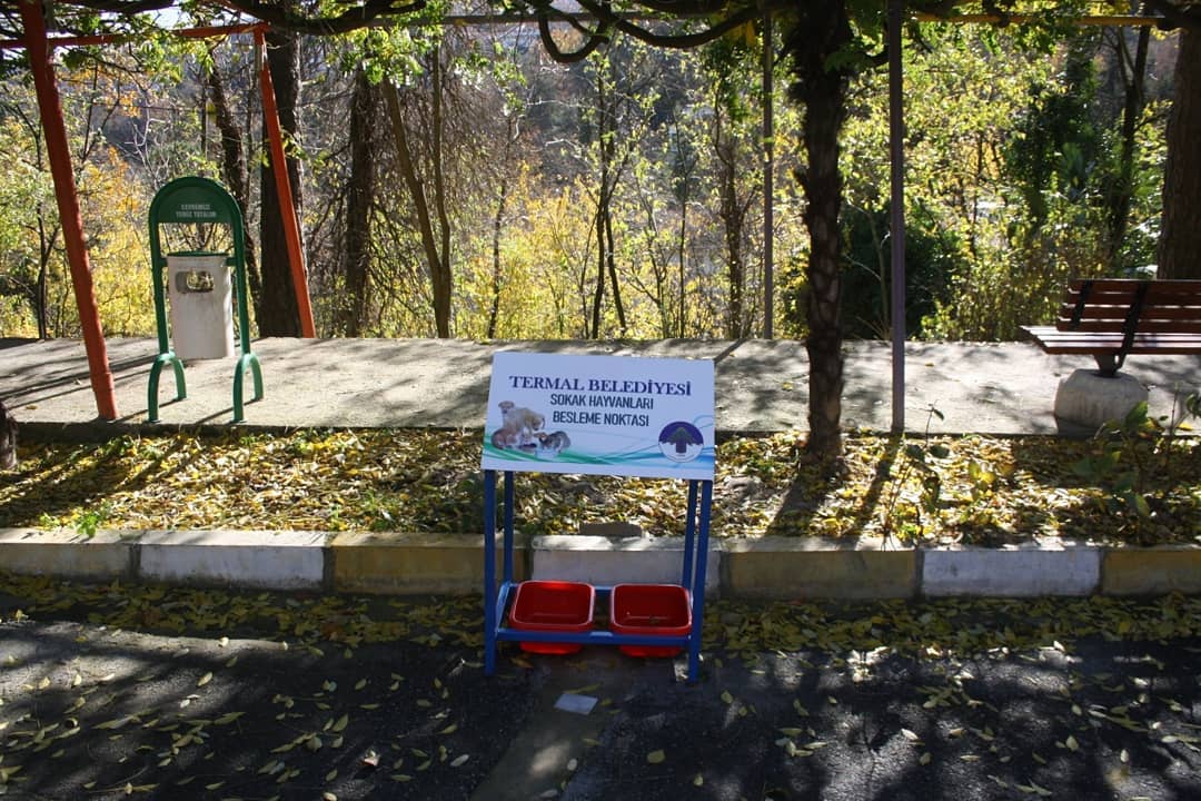 SOKAK HAYVANLARI BESLEME NOKTASI
