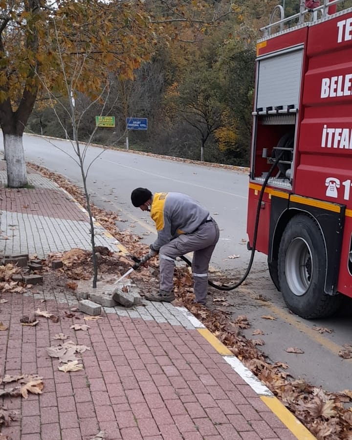 KURUYAN AĞAÇLAR DEĞİŞTİRİLİYOR