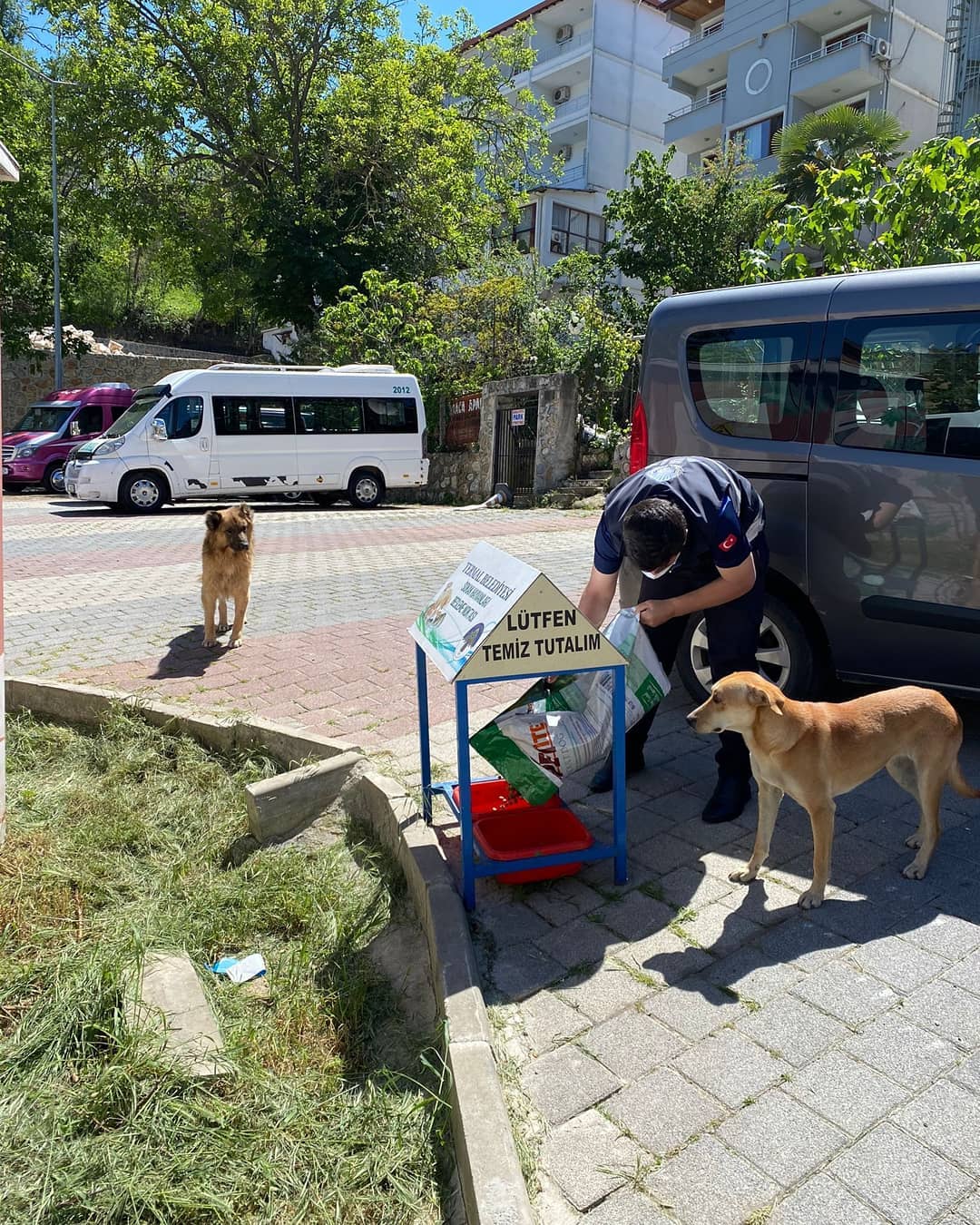MAMA DAĞITIMI DEVAM EDİYOR