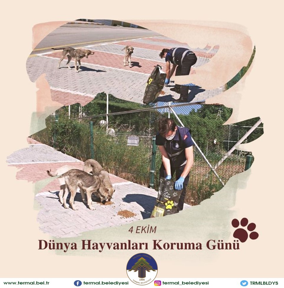 DÜNYA HAYVANLARI KORUMA GÜNÜ