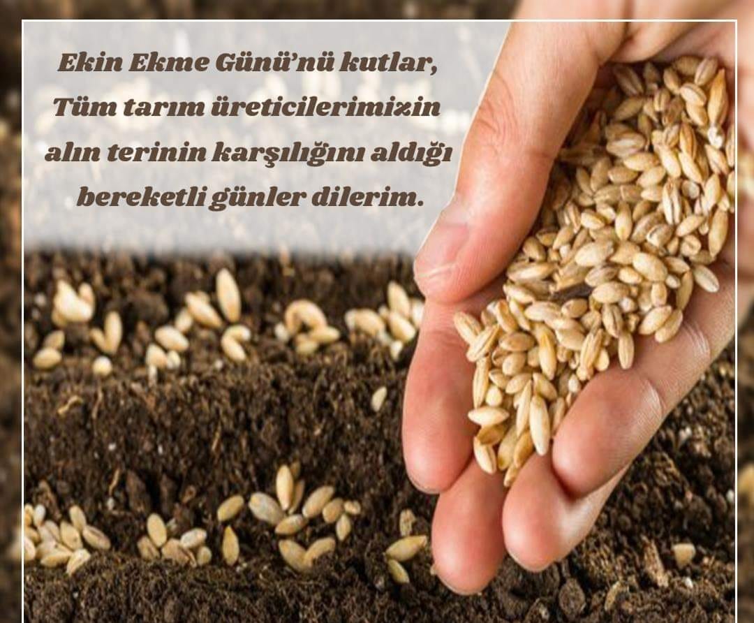 EKİN EKME GÜNÜ