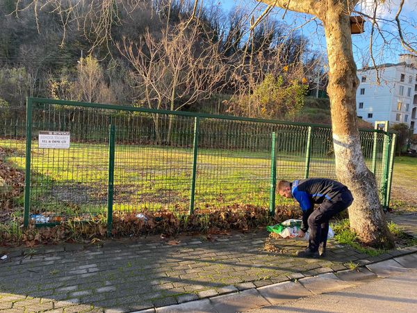 SOKAK HAYVANLARINA MAMA DAĞITIMI