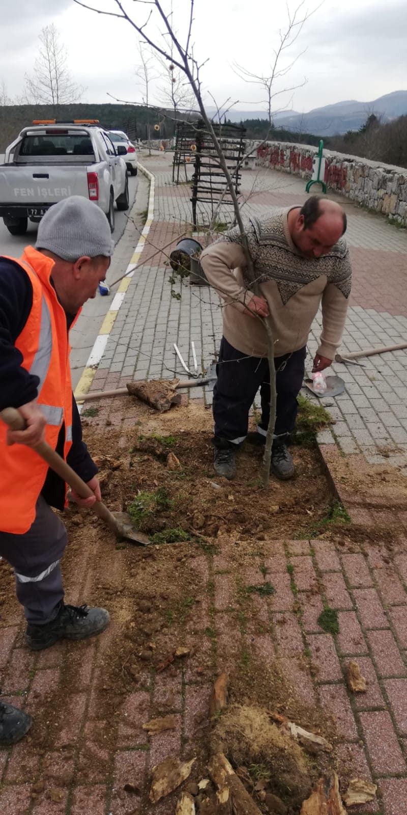 AĞAÇ FİDANI DİKİMİNE DEVAM EDİYORUZ