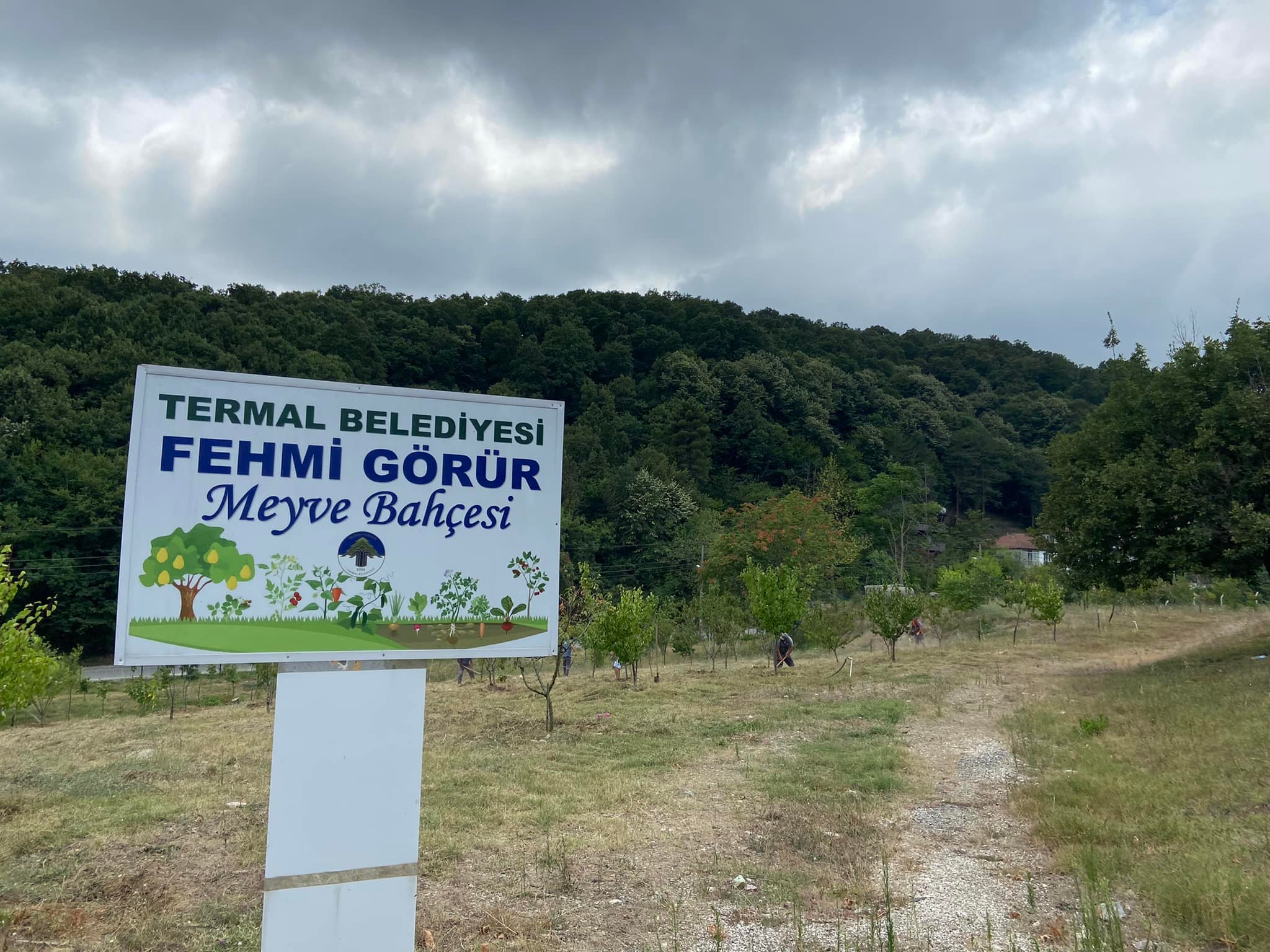 İLÇEMİZDE BULUNAN FEHMİ GÖRÜR MEYVE BAHÇESİ'NİN TEMİZLİK VE BAKIM ÇALIŞMALARI