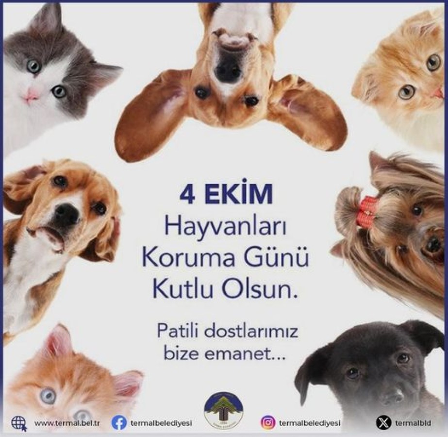 DÜNYA HAYVANLARI KORUMA GÜNÜ KUTLU OLSUN