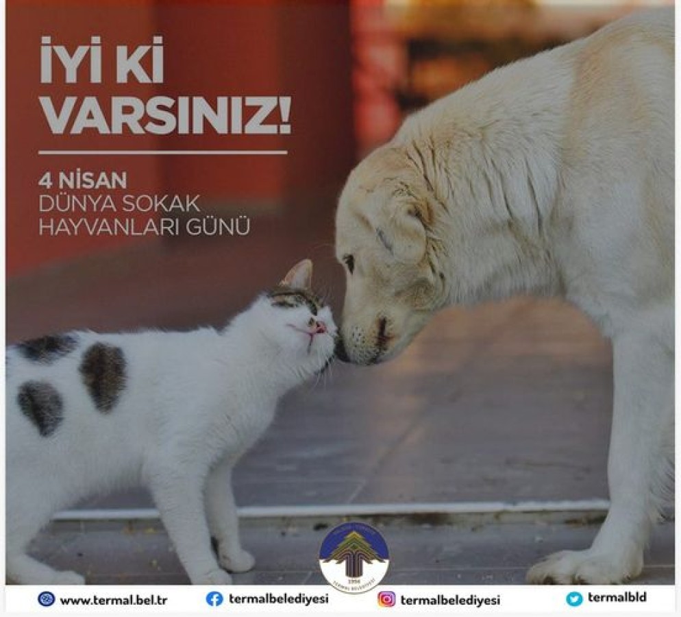 DÜNYA SOKAK HAYVANLARI GÜNÜ KUTLU OLSUN