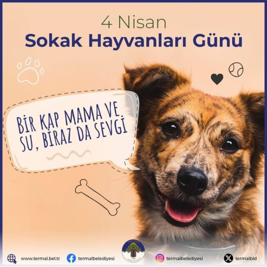 SOKAK HAYVANLARI GÜNÜ KUTLU OLSUN